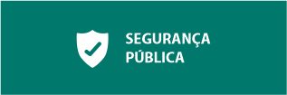 seguranca publica